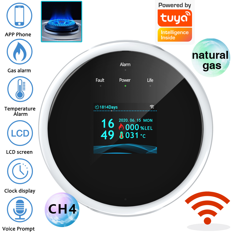 Smart Home Security System - Sensore di Allarme Gas WiFi 2.4G,