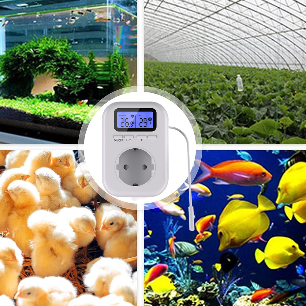 Dispositivo domestico intellig - Smart Elderly Home recensione e prezzo