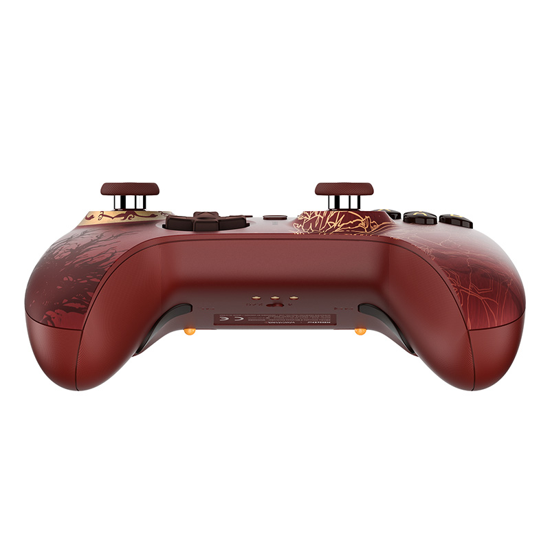 Controller di gioco wireless 8 - Smart Home Raspberry Pi recensione e prezzo