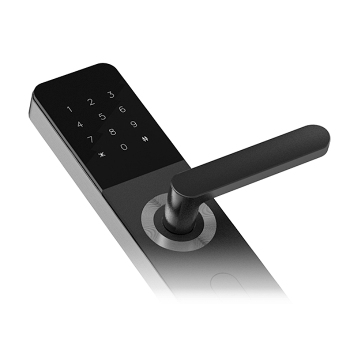 Serratura Intelligente Senza C - Smart Home Qr Code recensione e prezzo