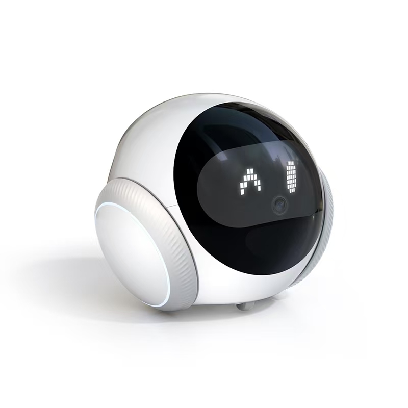 Compagno Elettronico Intellige - Smart Elderly Home recensione e prezzo