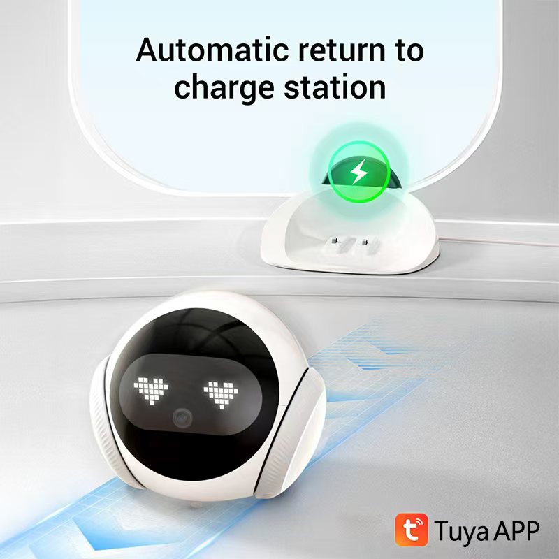 Compagno Elettronico Intellige - Smart Elderly Home recensione e prezzo